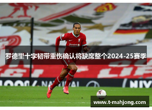 罗德里十字韧带重伤确认将缺席整个2024-25赛季 罗德里十字韧带重伤确认将缺席整个2024-25赛季
