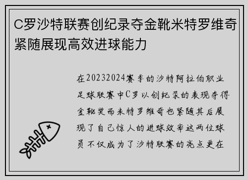 C罗沙特联赛创纪录夺金靴米特罗维奇紧随展现高效进球能力